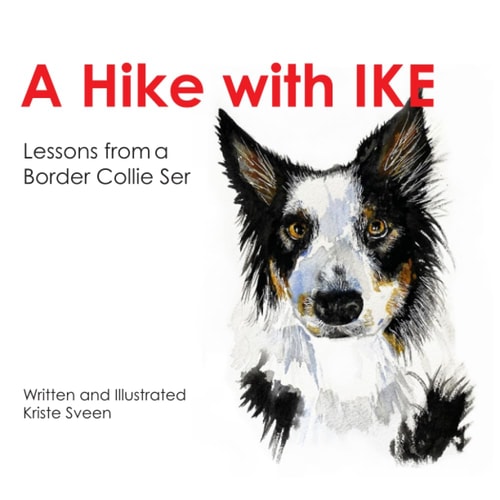 A Hike with Ike Lessons from a Border Collie Series