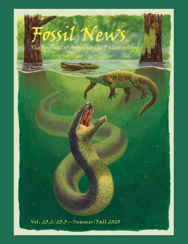 Fossil News The Journal of Avocational Paleontology: Vol. 23. 2/23. 3-Summer/Fall 2020