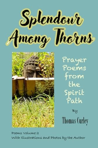 Splendour Among Thorns Prayer Poems from the Spirit Path