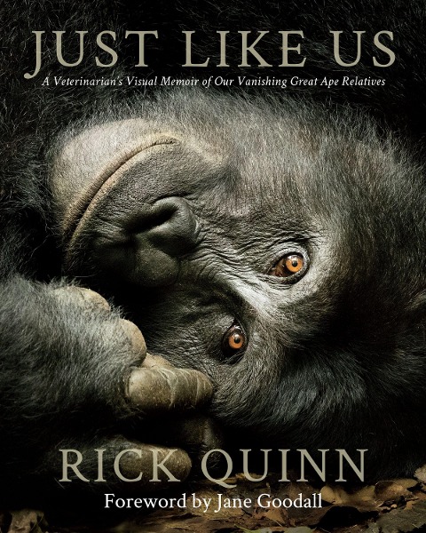 Just Like Us: A Veterinarians Visual Memoir of Our Vanishing Great Ape Relatives