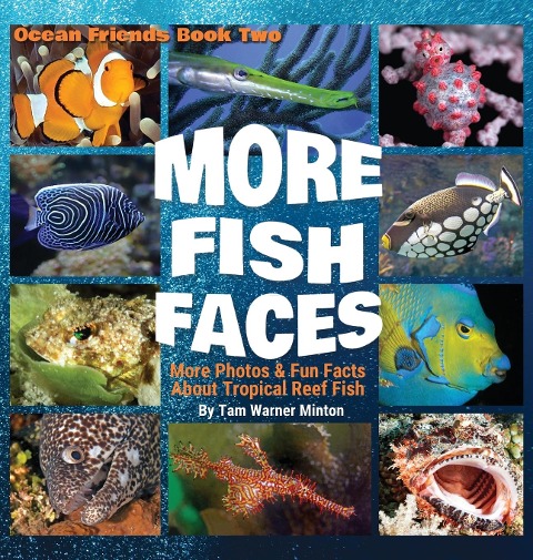 More Fish Faces UPDATED: Updated Photos and Fun Facts about Tropical Reef Fish