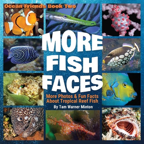 More Fish Faces UPDATED: Updated Photos and Fun Facts about Tropical Reef Fish