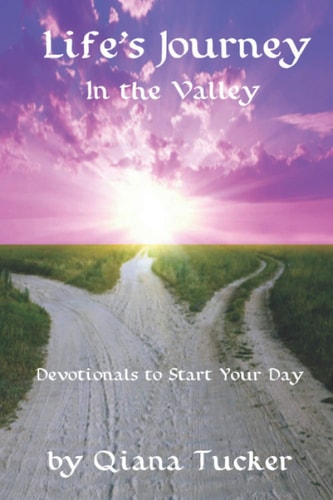 Life's Journey In the Valley