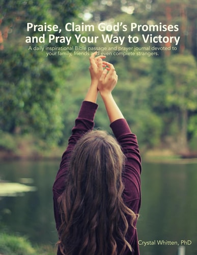 Praise, Claim God's Promises and Pray Your Way to Victory 366 Days of Prayer for Others