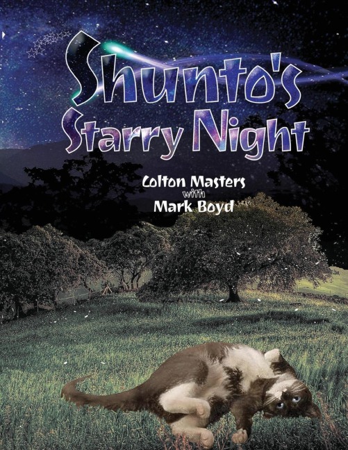 Shuntos Starry Night