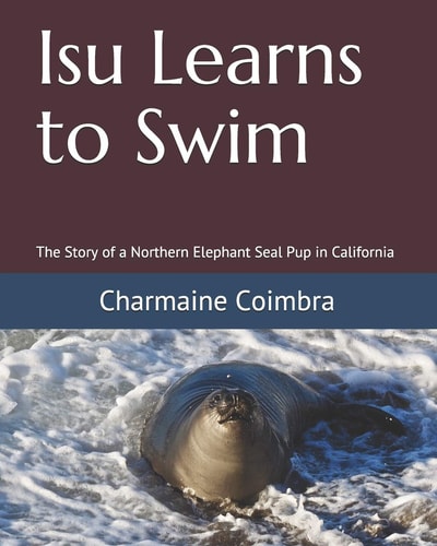 Isu Learns to Swim The Story of a Northern Elephant Seal Pup in California