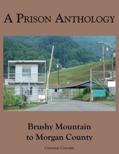 A Prison Anthology Brushy Mountain to Morgan County