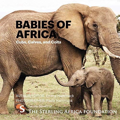 Babies of Africa Cubs, Calves and Colts