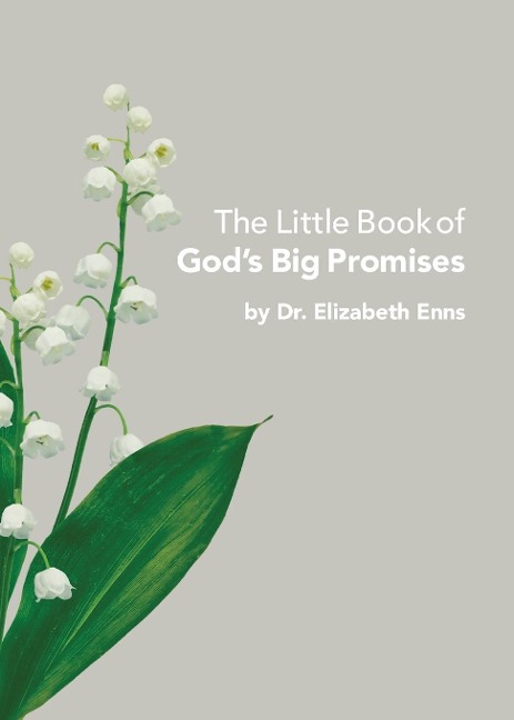 The Little Book of Gods Big Promises