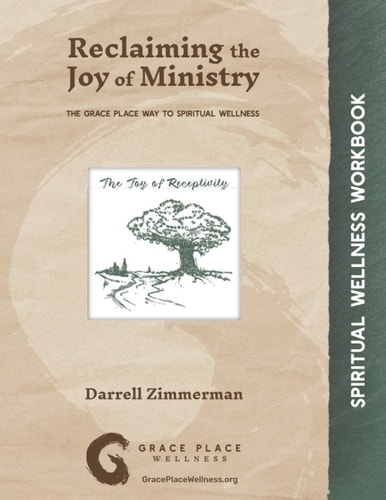 Reclaiming the Joy of Ministry The Grace Place Way to Spiritual Wellness