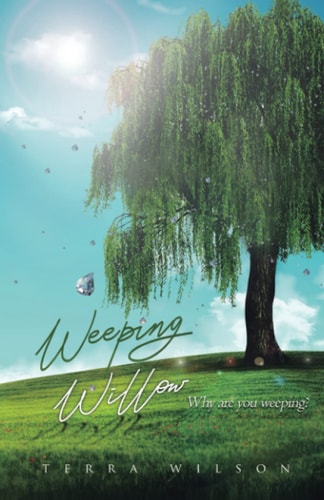 Weeping Willow Why Are You Weeping?