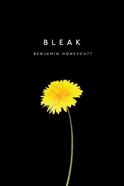 Bleak: A Story of Bullying, Rage and Survival