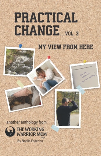 Practical Change...Vol. 3 My View from Here