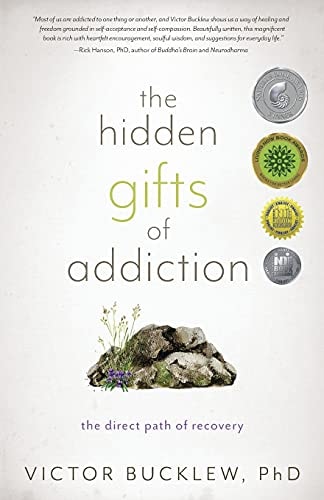 The Hidden Gifts of Addiction The Direct Path of Recovery