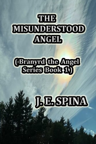 The Misunderstood Angel Branyrd the Angel Series Book 1