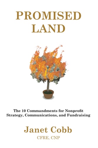 Promised Land The 10 Commandments for Nonprofit Strategy, Communications, and Fundraising