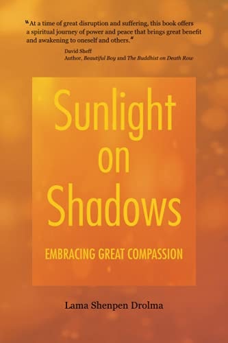 Sunlight on Shadows Embracing Great Compassion