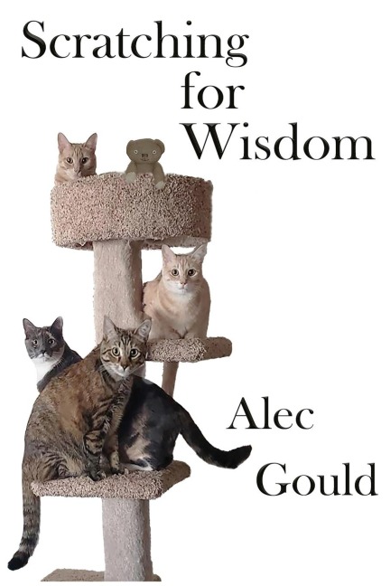 Scratching for Wisdom