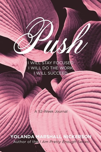 Push I Will Stay Focused. I Will Do the Work. I Will Succeed
