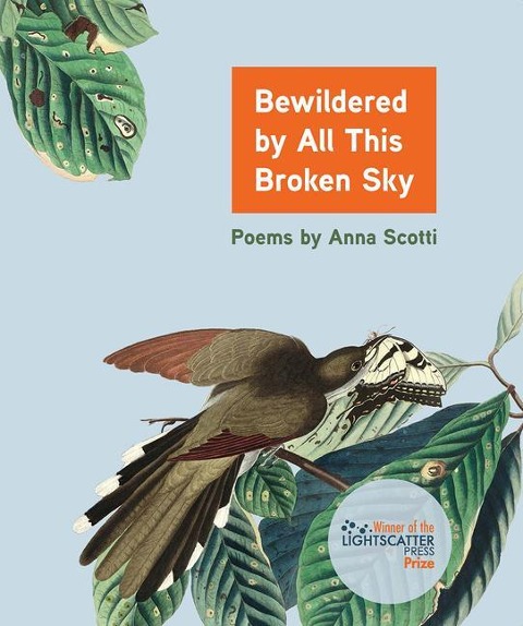 Bewildered by All This Broken Sky: Poems by Anna Scotti