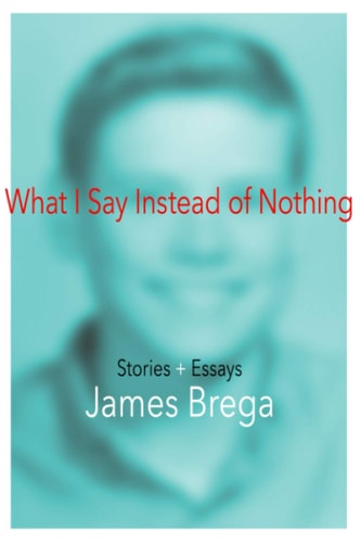 What I Say Instead of Nothing Stories and Essays by James Brega