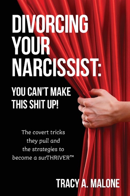 Divorcing Your Narcissist: You Cant Make This Shit Up!