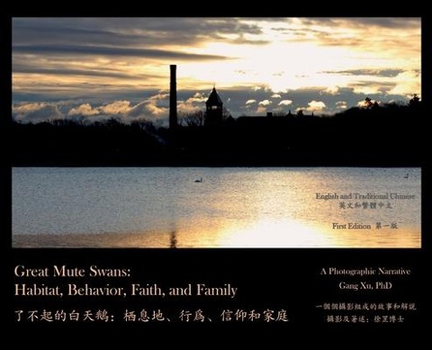 Great Mute Swans: Habitat, Behavior, Faith, and Family--A Photographic Narrative