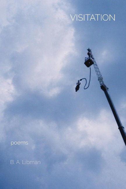 VISITATION: poems