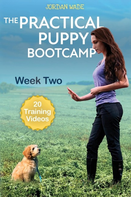 The Practical Puppy Bootcamp: Week Two