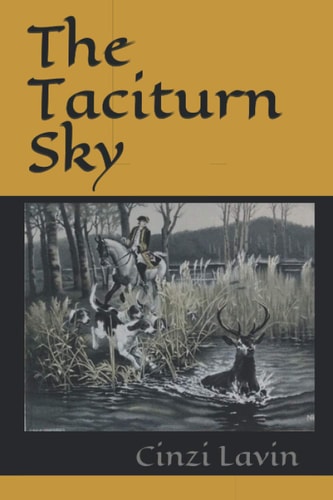 The Taciturn Sky