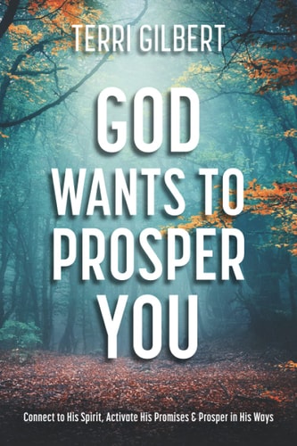 God Wants To Prosper You Connect to His Spirit, Activate His Promises & Prosper in His Ways