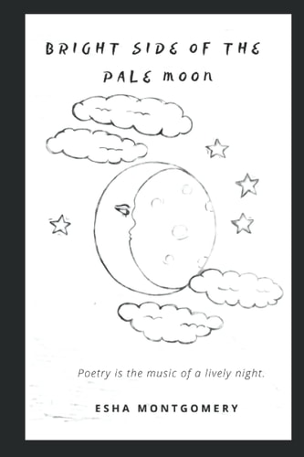 Bright Side of the Pale Moon