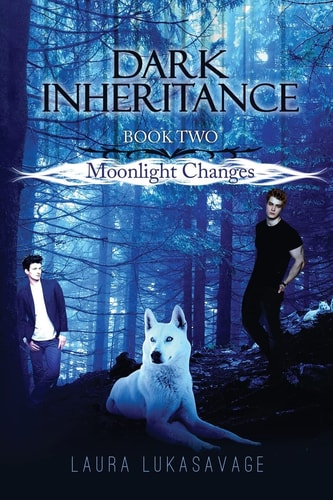 Dark Inheritance Moonlight Changes (Book 2)