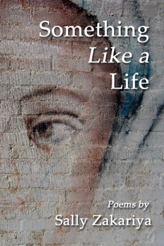 Something Like a Life