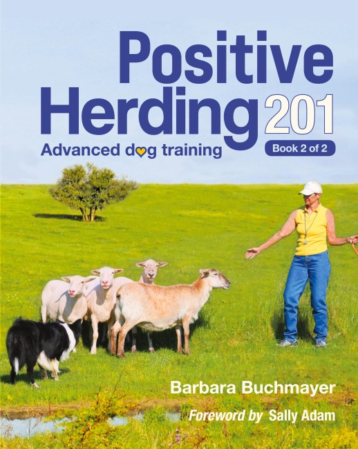 Positive Herding 201