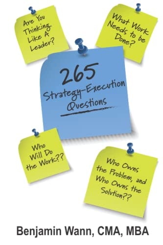 265 Strategy-Execution Questions 265 Strategy-Execution Questions to Assess Your Organization, Function, Team, and Self