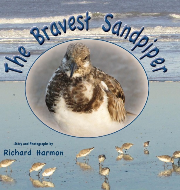 The Bravest Sandpiper