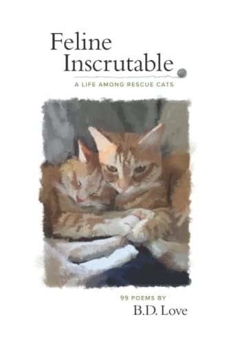 Feline Inscrutable A Life Among Rescue Cats