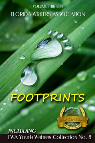 Footprints Florida Writers Association Collection 13