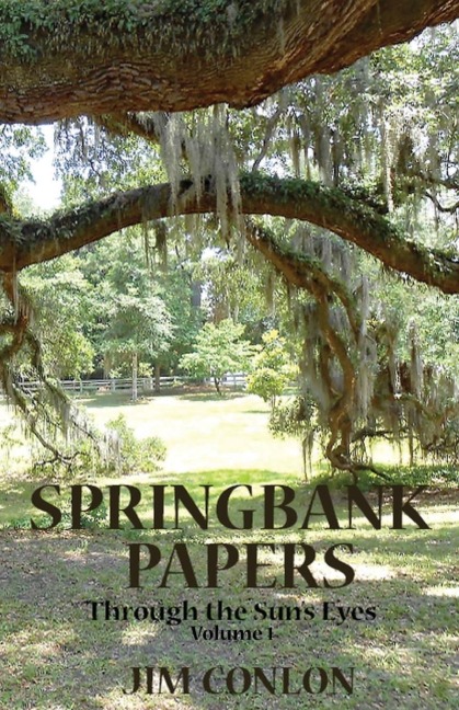 Springbank Papers: Through the Suns Eyes
