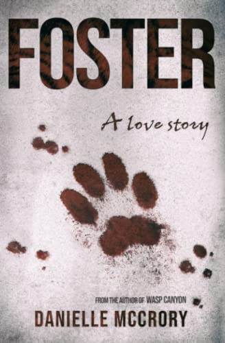 Foster A Love Story