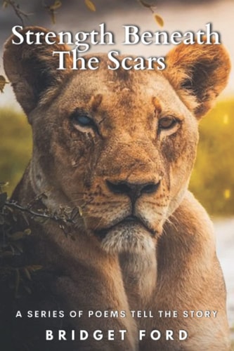 Strength Beneath the Scars A Series of Poems Tell the Story