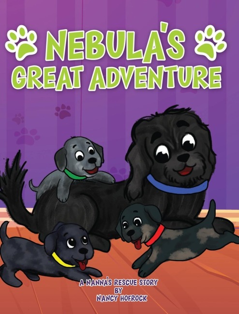 Nebulas Great Adventure