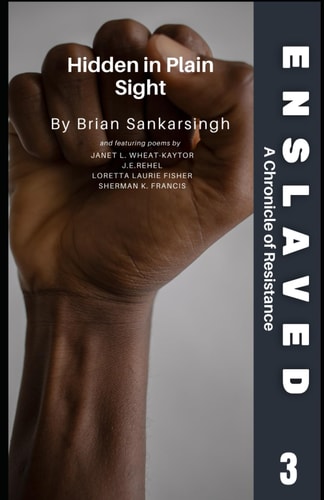 Enslaved A Chronicle of Resistance Book 3 Hidden In Plain Sight