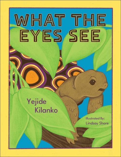 What the Eyes See