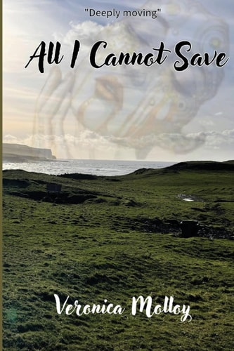 All I Cannot Save