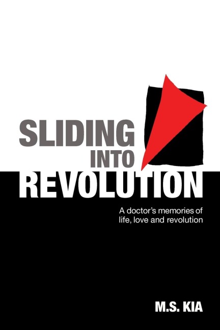 Sliding into Revolution: A doctor´s memories of life, love and revolution