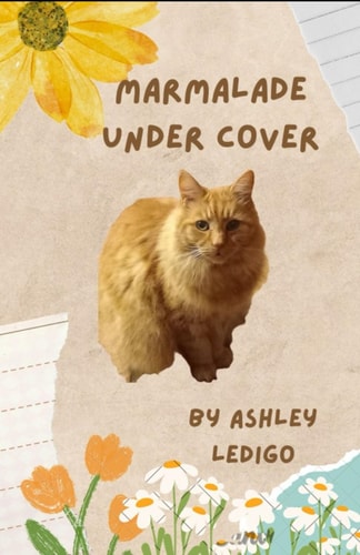 Marmalade Under Cover