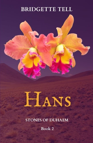 Hans Stones of Duhaem