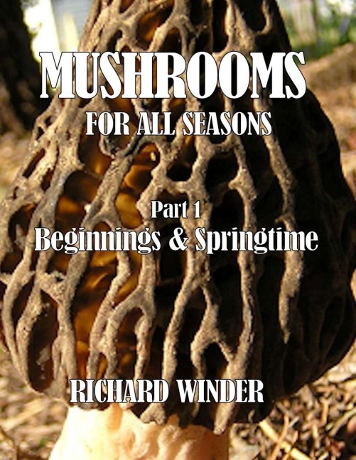 Mushrooms For All Seasons: Part 1 Beginnings & Springtime
